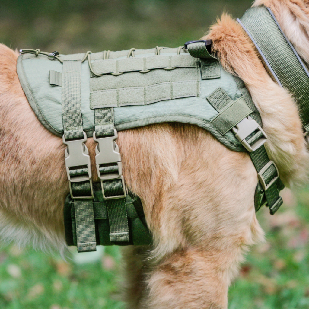 Tactical MOLLE Canine Harness
