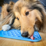 licking mat for dogs with suction cups