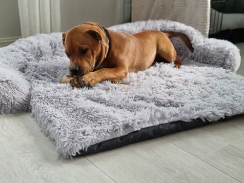 Flexi Fluffy Dog Bed Blanket photo review