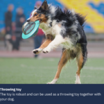 Interactive Treat Dispenser Dog Toy