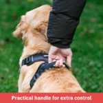 FreedomFit No-Pull Dog Harness