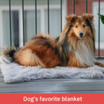 FluffyComfort Dog Blanket