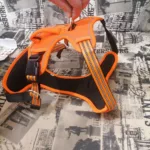 High-Visibility Reflective Dog Harness photo review