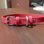 Affordable Comfort Dog PU Leather Collar Adjustable Pet Accessories for Small Dogs photo review